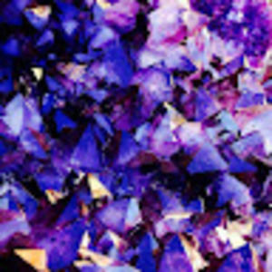 Meet your Posher, Antonio